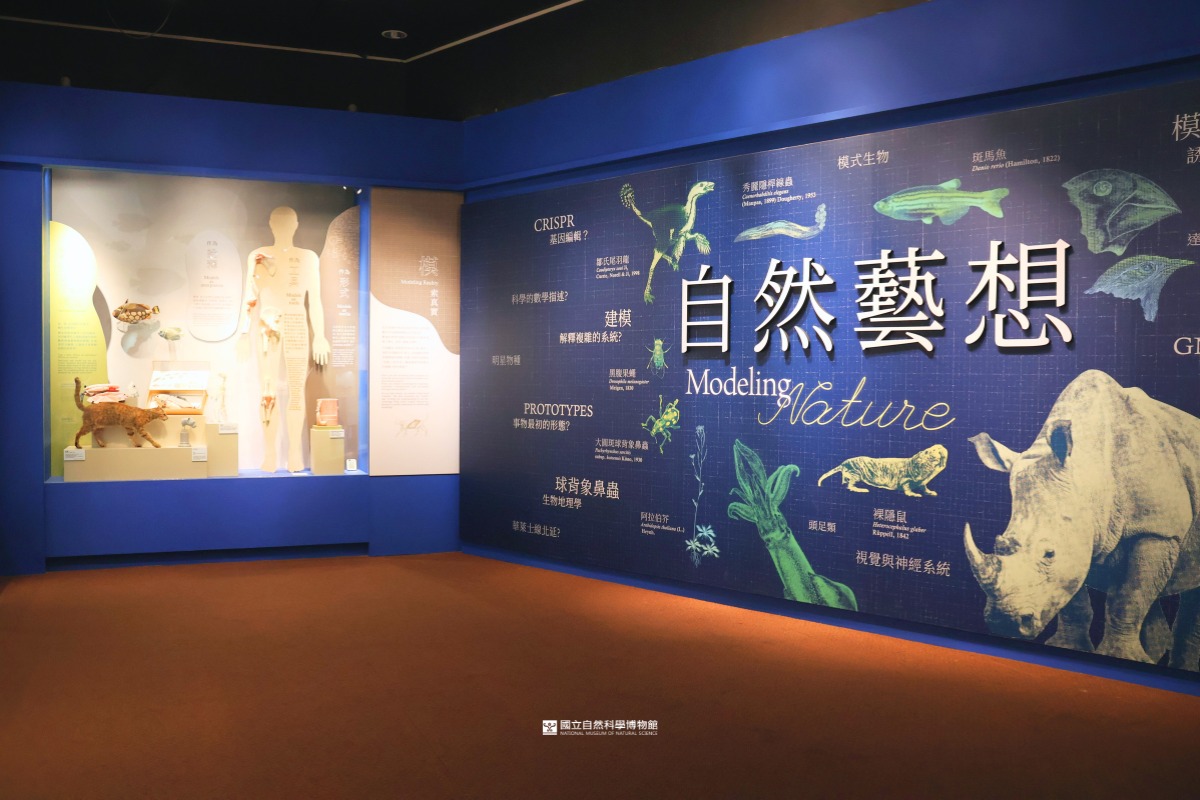 台中展覽 自然藝想