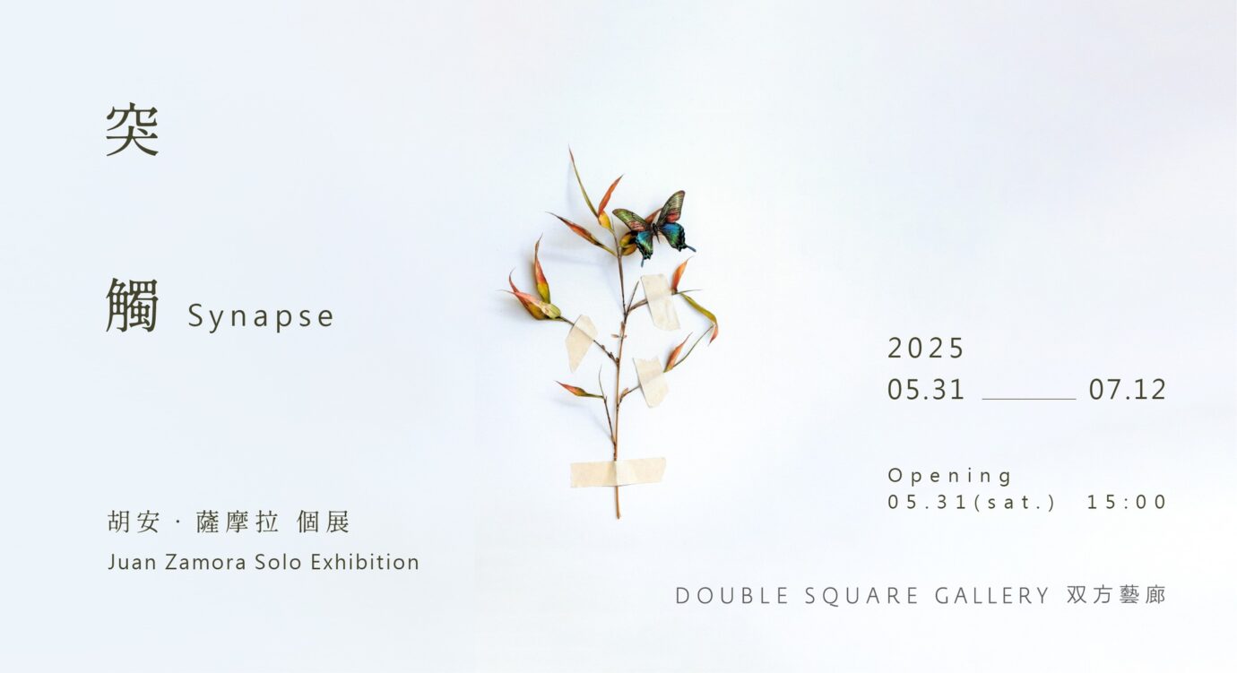 台北展覽 胡安．薩摩拉個展《突觸》