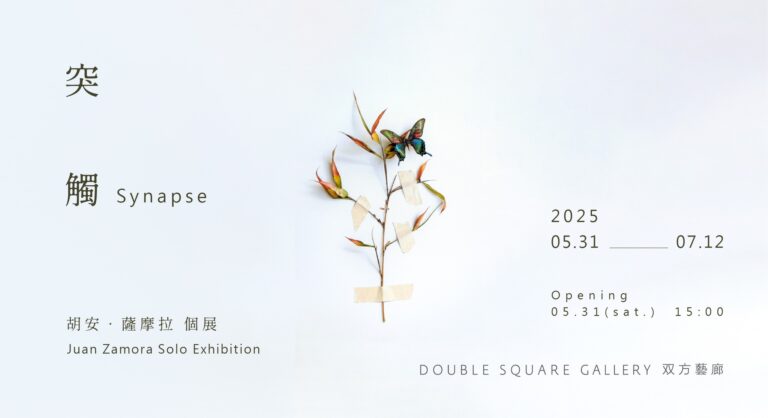 台北展覽 胡安．薩摩拉個展《突觸》