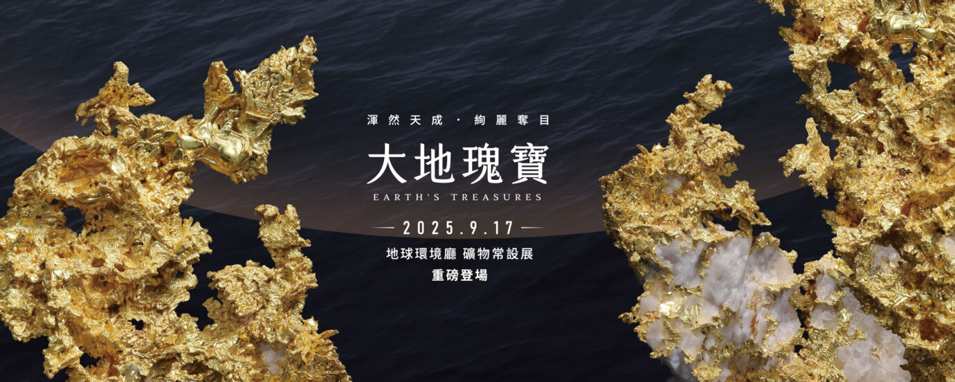 台中展覽 大地瑰寶