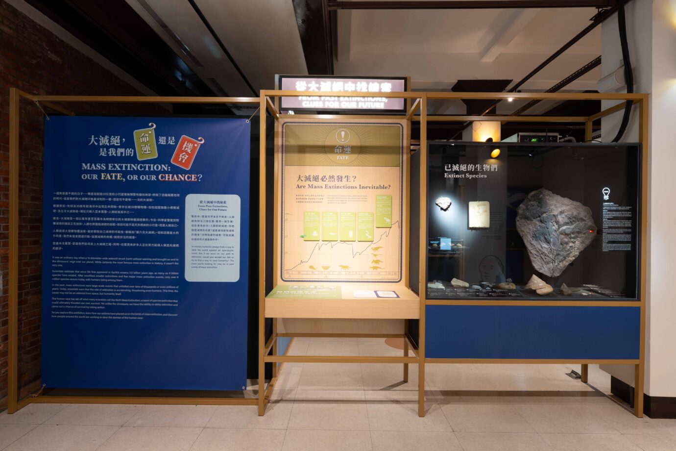 台北展覽 第六次大滅絕?命運還是機會