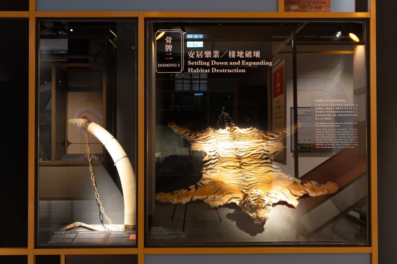 台北展覽 第六次大滅絕?命運還是機會