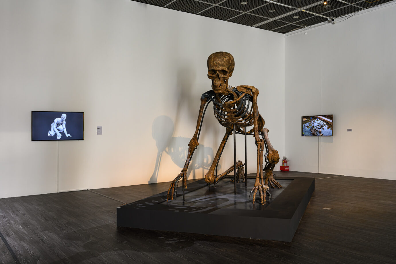 台北展覽 凹陷:我們的團體生活