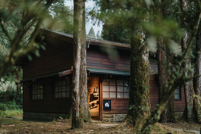 嘉義展覽 森記・事 Forest Era × 山記・畫 A-lí-san