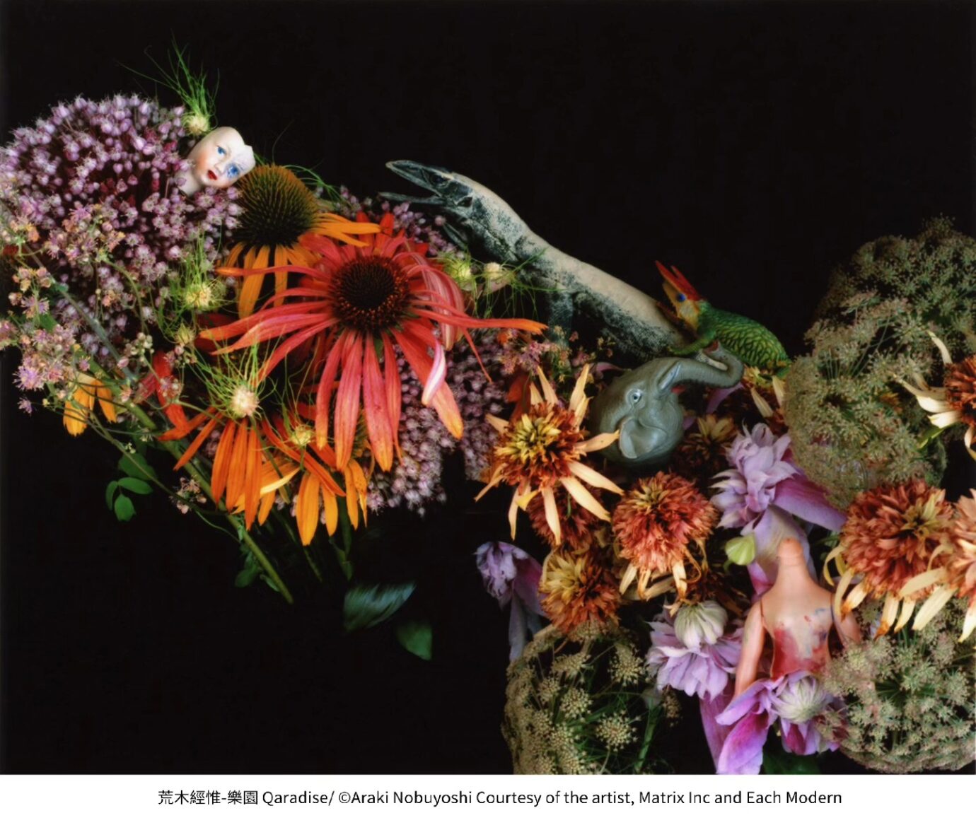 屏東展覽 當繁花盛開 日本當代藝術展